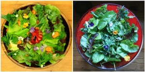 First Salads of Summer